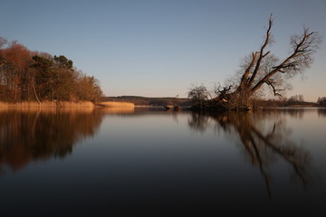 die Bauminsel im Kölpinsee