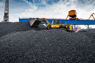 Work in port coal transshipment terminal.