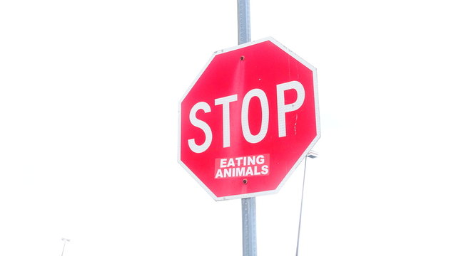 Stop eating animals. Stop sign. 