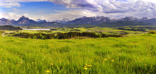 Panorama Landschaft mit Blumenwiesen im Frühling im Allgäu bei Füssen