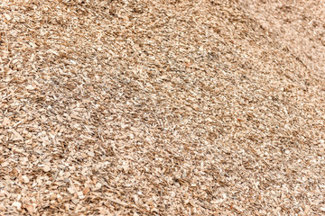 Wood chips and sawdust pile.