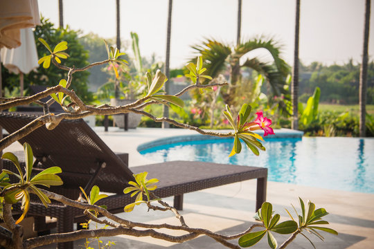 beautiful idyllic pool at Bli island, Indonesia