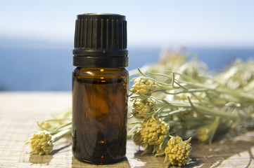 Immortelle (Helichrysum arenarium italicum ) essential oil in amber bottle