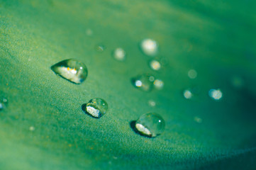macro water drop on leaf close up in garden