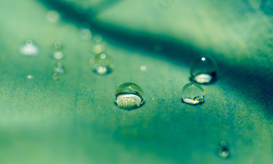 macro water drop on leaf close up in garden