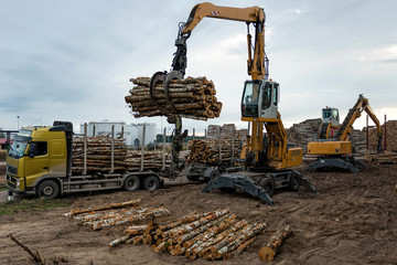 Cranes at warehouse territory logs are unloaded from the truck.