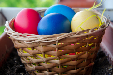 Colourful Easter Eggs in basket with bokeh background