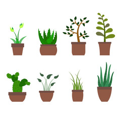 color set with house plants icons  for your design
