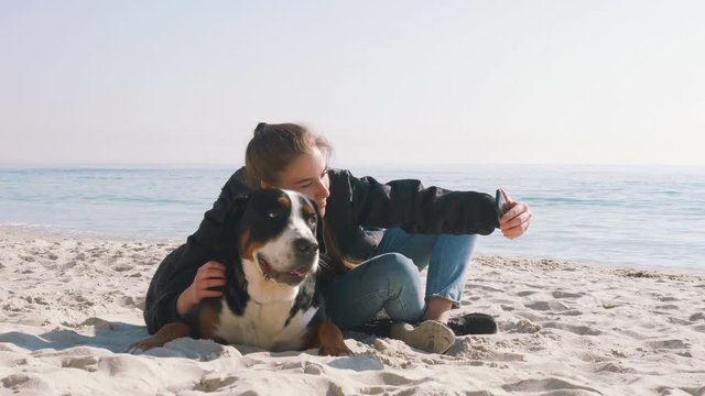 Young Female Playing With Great Swiss Mountain Dog On Beach And Using Doing Selfie