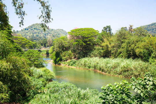 Jungle river and tropical undergrowth on Sri Lanka