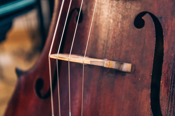 Close-up of cello strings © DedMityay