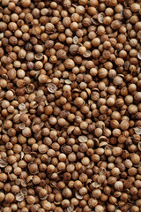 Coriander seeds background