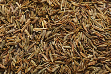 Pile of caraway seeds background