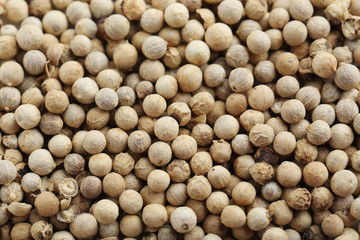 White pepper background