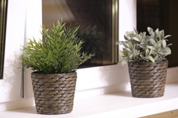 Flower pots on a window