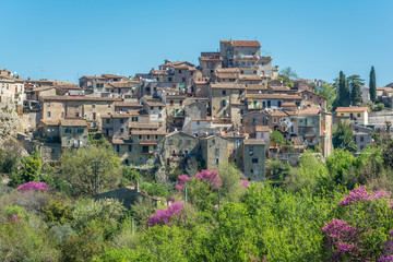 Fototapeta na wymiar Panoramic view of Toffia, Rieti Province, Latium, Italy
