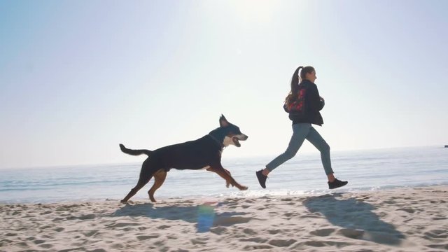 Young Female Playing And Walking With Great Swiss Mountain Dog On Beach, Slow Motion