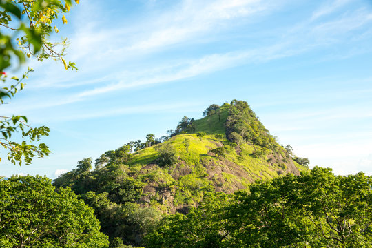 Scenic green tea mountains, Ceylon
