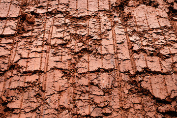cracked dry clay texture background