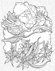 coloring page with flying hornbill