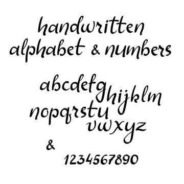 Handwritten alphabet and numbers. Vector brush style font.