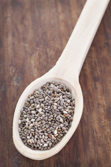 Seeds of chia - Salvia hispanica
