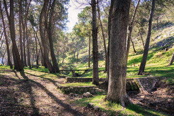 Fototapeta premium Maravilloso paisaje en la Cañada de las Hazadillas en Jaén