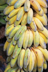 Banana da madeira