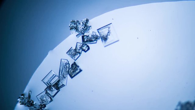 Crystal growth, microscope photography using a microscope