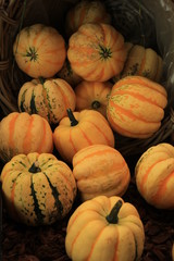 Decorative pumpkins