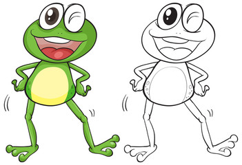 Fototapeta premium Animal outline for silly frog
