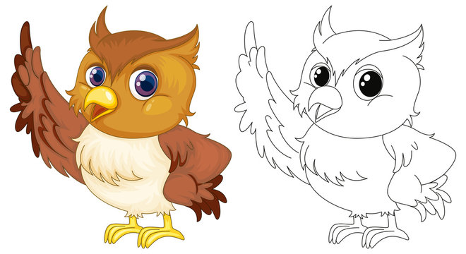 Animal outline for cute owl