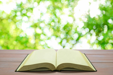 open book with green tree bokeh background