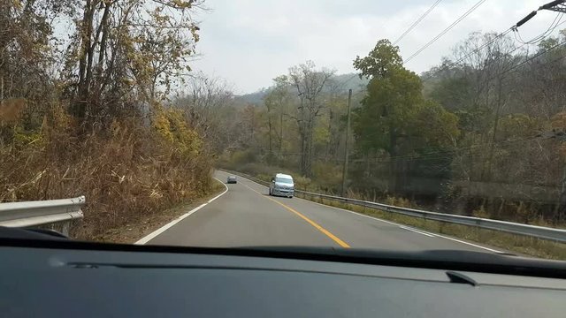 POV shot of a car going down a curved rural road lined with trees, 4K video