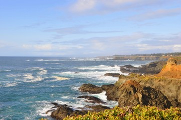 Mendocino Coast 6