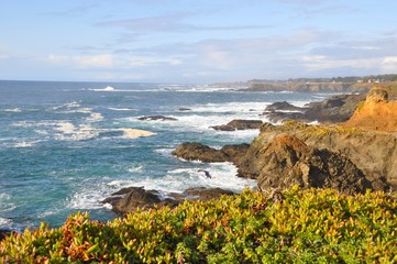 Mendocino Coast 4