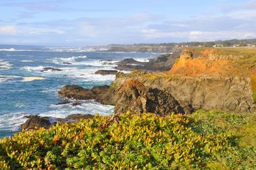 Mendocino Coast 2