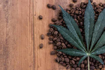 Obraz na płótnie Canvas Cannabis leaf on coffee beans with space for text