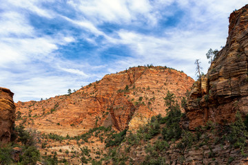 Zion NP