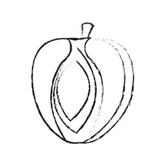 apricot fruit icon image vector illustration design 