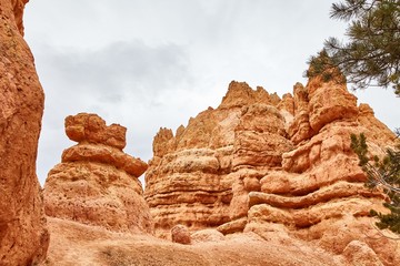 Fototapeta premium Incredibly beautiful landscape in Bryce Canyon National Park, Utah, USA.