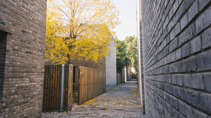 city at Autumn, alley that runs between houses and a park strewn with fallen leaves