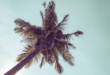 Coconut palm trees in tropical beach Thailand