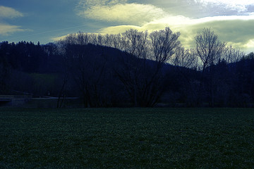 Kammerhof im März in Umkehrentwicklung