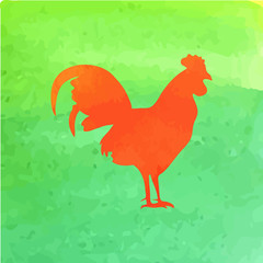 Watercolor rooster