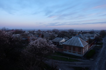 Down roofs morning blossom tree