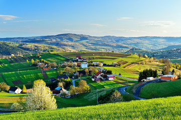 Spring landscape in Slovakia. Rural countryside in Polana region. Fields and meadows with blooming cherries