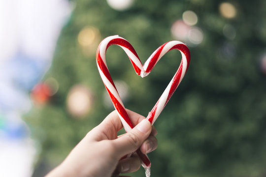 Candy canes in the shape of heart on a hand, on the background of blurred christmas trees