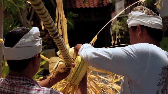 Two balinese men in traditional costume decorating penjor with palm leaf on Galungan Day (Bali holiday ceremony). Close up shot with Sony a7s on slider on sunny day