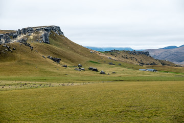 Fototapeta premium Stone in meadow